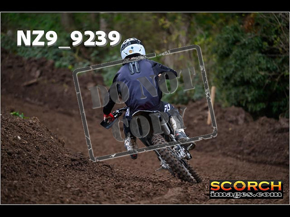 Experts-244