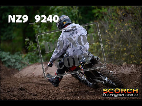 Experts-245