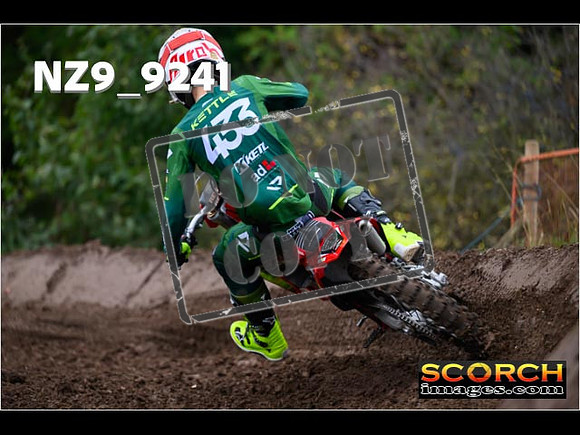 Experts-246