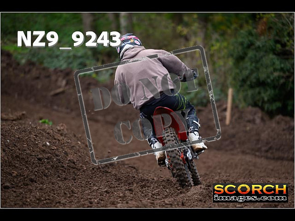 Experts-248