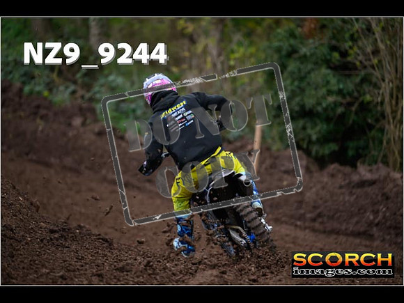 Experts-249