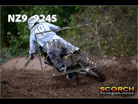 Experts-250