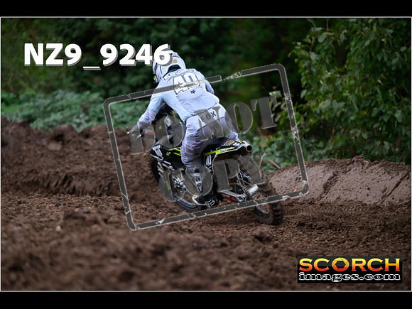Experts-251