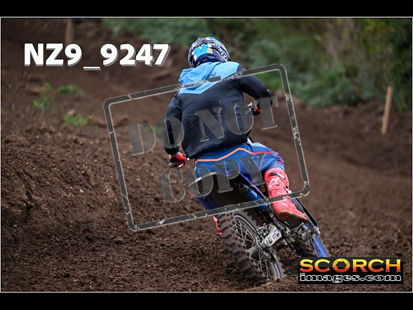 Experts-252