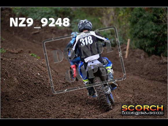 Experts-253