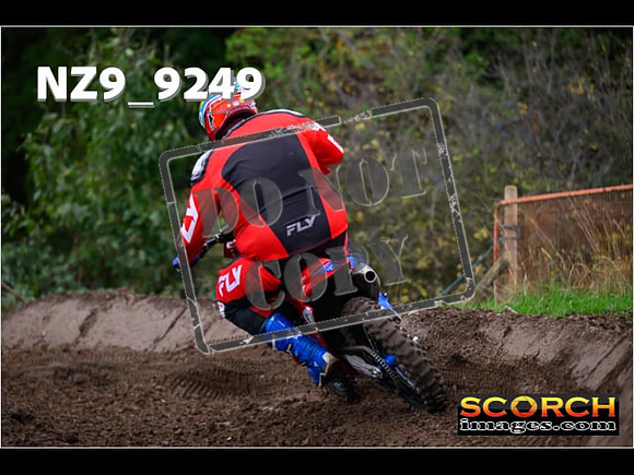 Experts-254