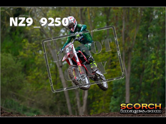 Experts-255