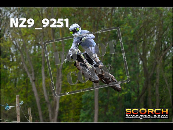 Experts-256