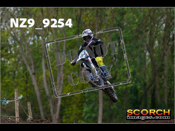 Experts-259