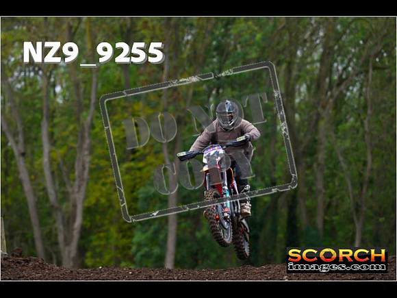 Experts-260