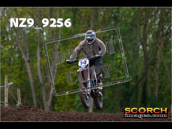 Experts-261