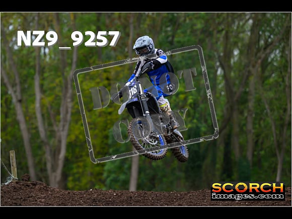 Experts-262