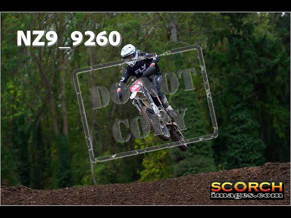 Experts-265