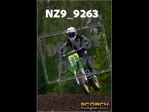 Experts-268