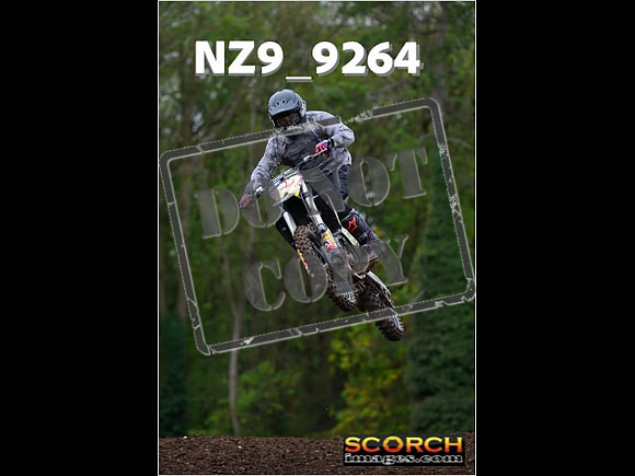 Experts-269