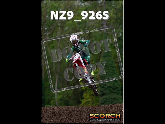 Experts-270