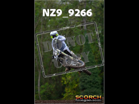 Experts-271