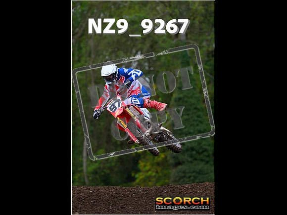 Experts-272