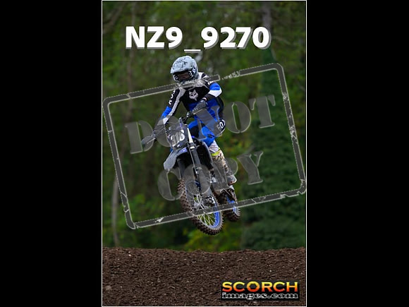 Experts-274