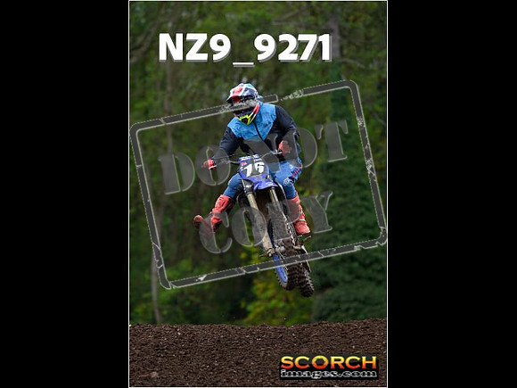 Experts-275