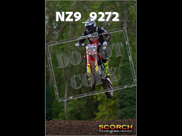 Experts-276