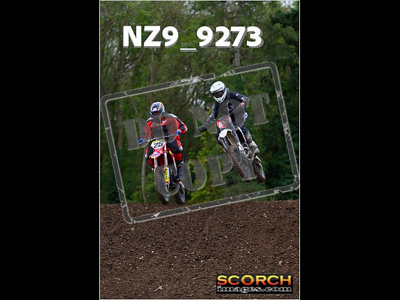 Experts-277