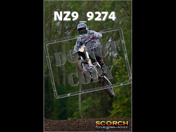 Experts-278