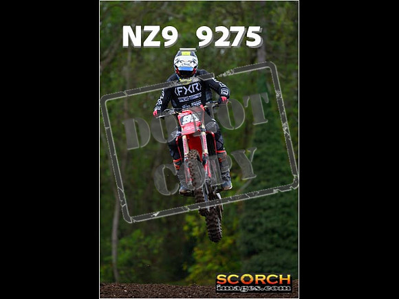 Experts-279