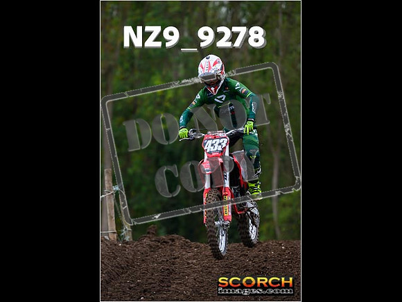 Experts-281