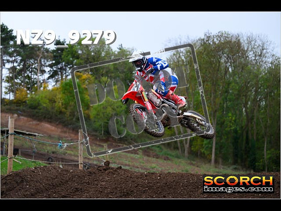 Experts-282