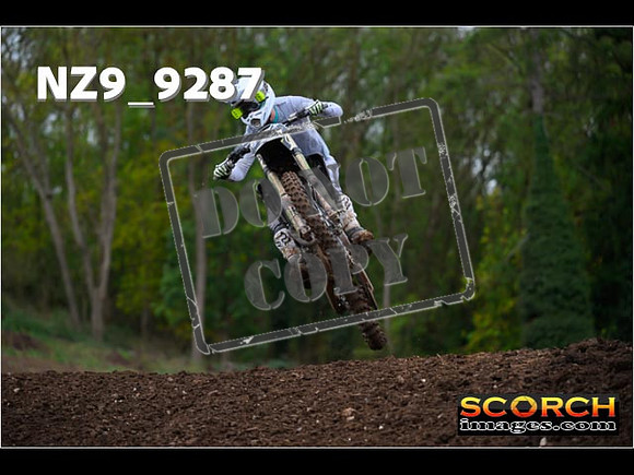 Experts-288