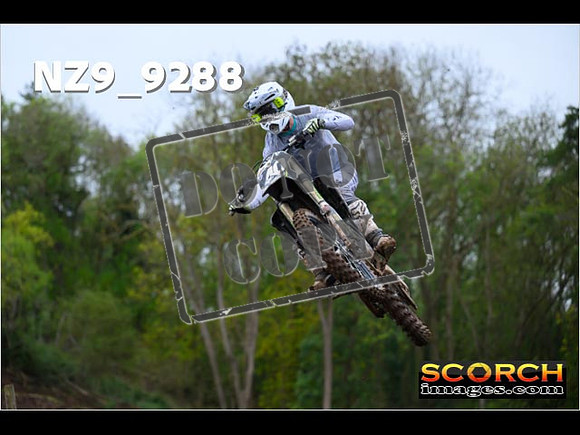 Experts-289