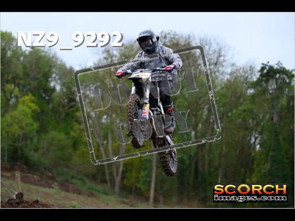 Experts-290