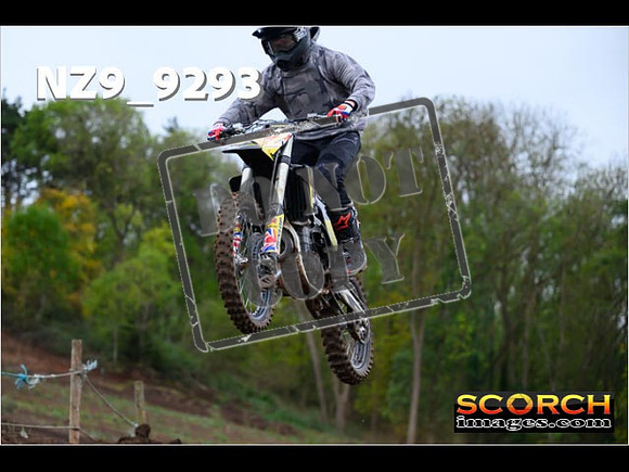 Experts-291