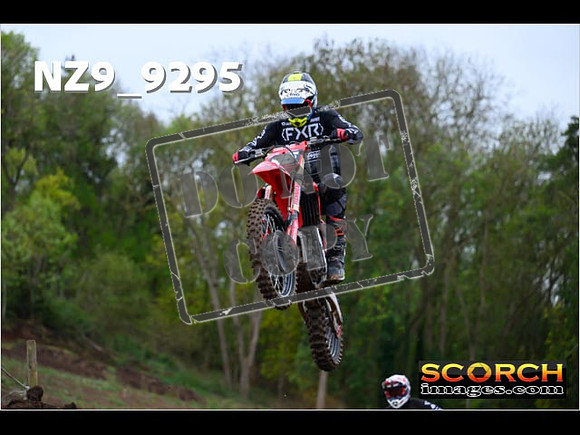 Experts-293