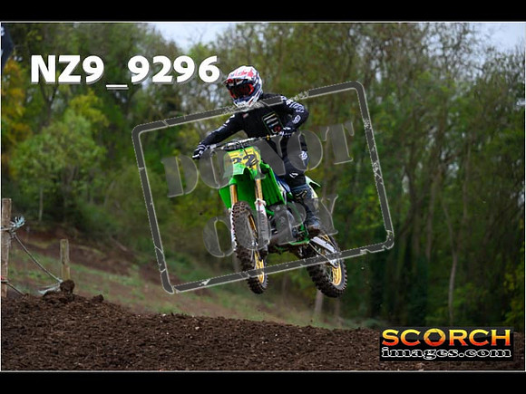 Experts-294