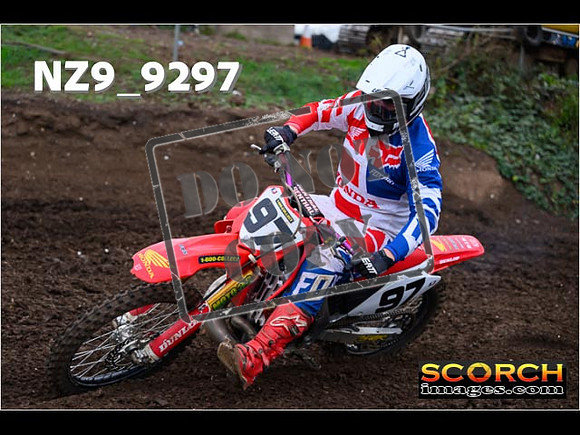 Experts-295
