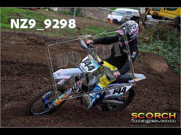 Experts-296