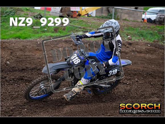Experts-297