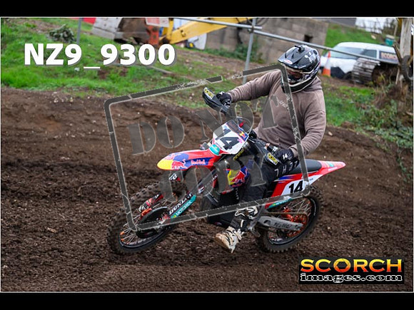 Experts-298