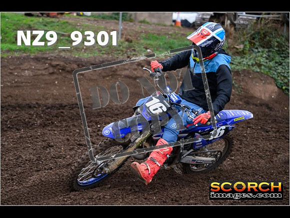 Experts-299