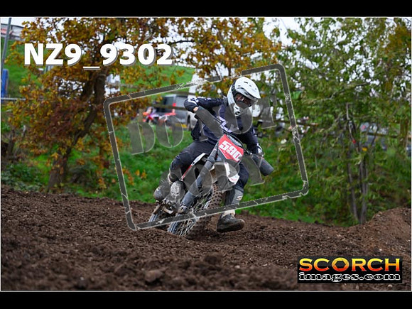 Experts-300