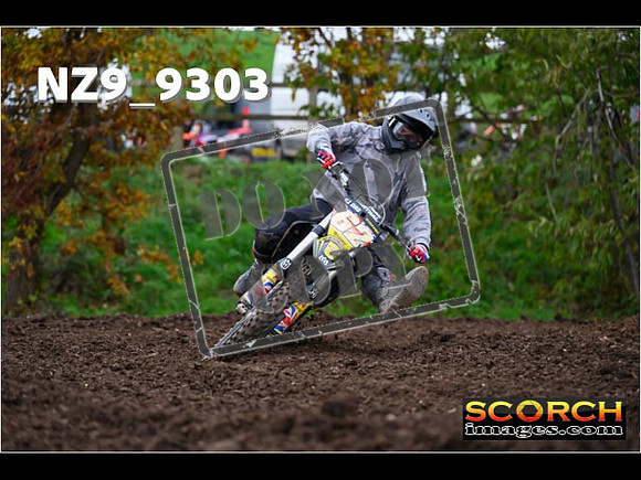 Experts-301