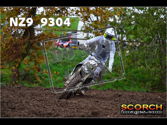 Experts-302