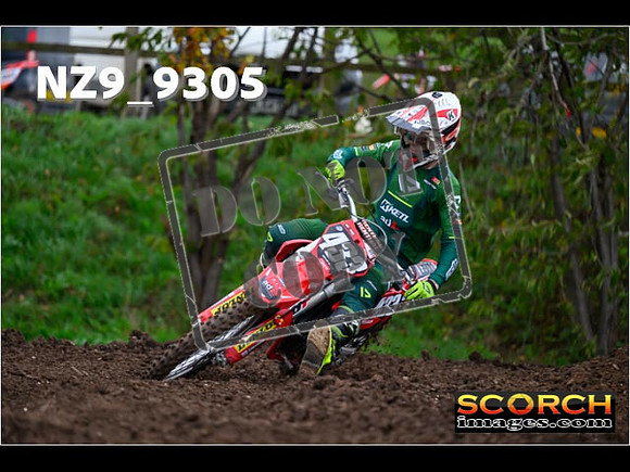 Experts-303