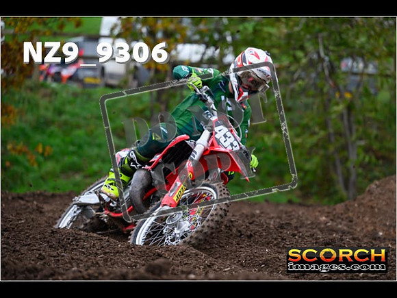 Experts-304