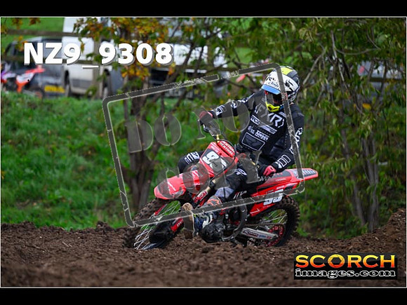 Experts-306