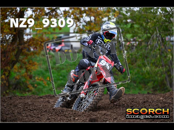Experts-307
