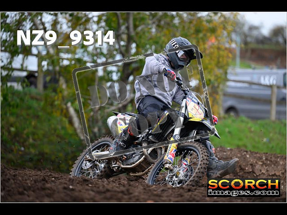 Experts-308