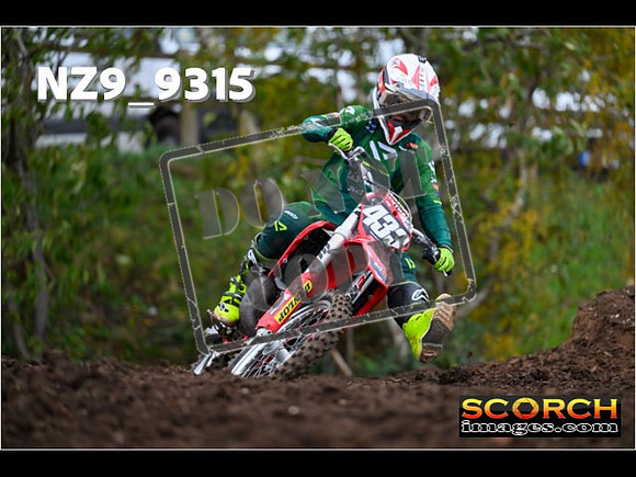 Experts-309